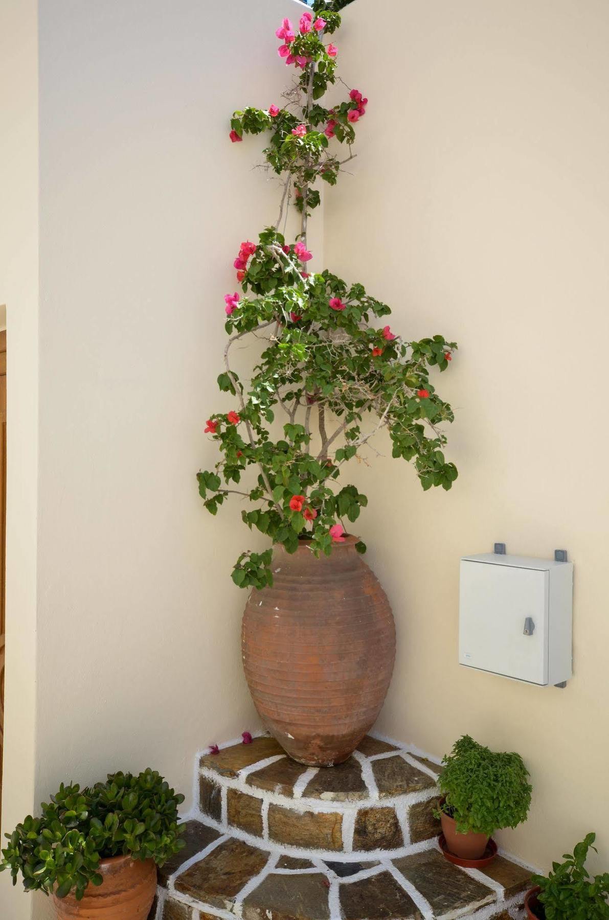 Margo Studios Naxos City Екстериор снимка